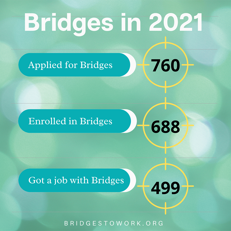 Bridges in 2021 Infographic